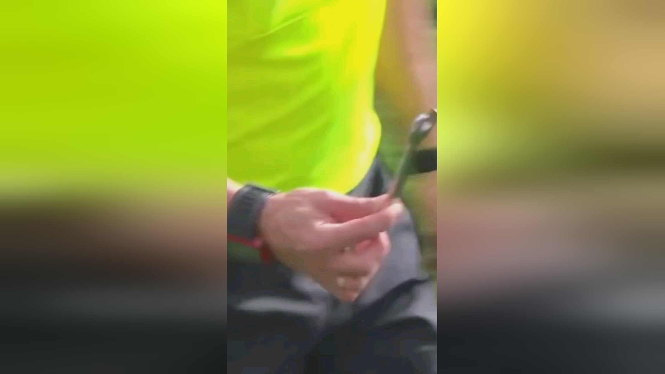 他们在联赛
